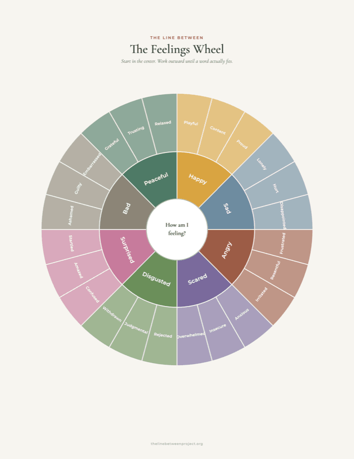 Preview of The Feelings Wheel